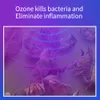 Massaggiatore viso Laser a luce blu Massaggiatore viso Dispositivo per il trattamento dell'ozono Cicatrice al plasma Macchina per la rimozione dell'acne Dispositivo antirughe per la cura della pelle Dispositivo di bellezza 230208