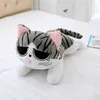 20cm 5 Styles doux Animal fromage chat en peluche jouets poupée oreiller pour enfants fille cadeaux