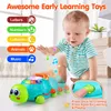 Other Toys Musical Turtle 0 6 12 Months Lights Baby Sounds For Girl Boy Montessori Early Educational for Toddler Gifts 230209
