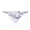 Underpants Autumn Winter Mens Low Rise Briefs Cotton Underwear Lining U-Convex Pouch Sexy Panties Man Tight Elastic Small