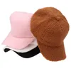 Ball Caps Autumn Winter Baseball Cap Women Artificial Lamb Wool Hats Version Warm Cap Plush Baseball Caps Spring Baseball Cap G230209