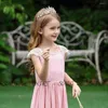 Vestidos de menina rosa hollow a-line Flor Tulle Ruffled Princess Saia