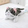 20cm 5 Styles doux Animal fromage chat en peluche jouets poupée oreiller pour enfants fille cadeaux