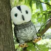 20 cm Nowa Kawaii Symulacja Kreatywna Snowna White Owl Doll Flush Animals Zabawy Piękne ptak