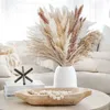 Dekorativa blommor 74st Pampas Grass Natural Dried Bouquet Boho Reed Plumes Flower Wedding Decoration Room Trockenblumen