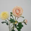 Fiori decorativi High-end 2 teste Lotus Feel Moisturizing Real Touch Peony Artificiale per bouquet da sposa Decorazioni per la casa di nozze Falso
