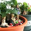 Dekorativa objekt Figurer Fairy Garden 6pcs Miniature Fairies Figurer Tillbehör för utomhusdekor 230210