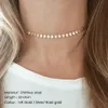 Gold Color Stainless Steel Choker Necklace Women Aesthetic Necklaces for Women Best Friend Jewelry