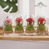 Decorative Flowers Forever DIY Material Kit Wishing Bottle Carnation Valentine's Day Mother's Romantic Gifts Gift Decorations
