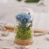 Decorative Flowers Forever DIY Material Kit Wishing Bottle Carnation Valentine's Day Mother's Romantic Gifts Gift Decorations