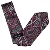 Bow Ties Hi-Tie 8 Style luksusowy Paisley Tie