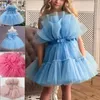 Girl Dresses Kids Wedding Princess Gown Baby Clothes For Elegant Birthday Flower Dress Tulle Bridesmaid Evening Party