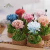 Decorative Flowers Forever DIY Material Kit Wishing Bottle Carnation Valentine's Day Mother's Romantic Gifts Gift Decorations