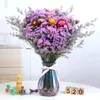 Decorative Flowers Dry Flower Immortal Wedding Arrangement Forget Not Me Love Grass Straw Chrysanthemum Dried Natural Home Table Accessories