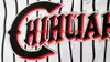 Stitched Baseball Jerseys Custom El Paso Chihuahuas Home Road Howling Dog Mexico White Red Black Shirts All