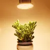 260 LED élèvent la lumière 150W plante poussent la lumière jaune Fitolamp Phytolamp légumes d'intérieur Cultivo boîte de culture tente maison chambre serre