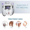 Cryo Fat Freezing Body Slimming Machine RF 레이저 캐비테이션 시스템 조각 동결 레이저 지방 흡입