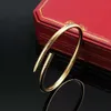 Tasarımcı 2.8mm 4.2 mm İnce Kalın Tırnak Bileklik Bileklik Titanyum Çelik 18K Altın Kaplama Bilezikler Kadınları Seviyor Bangles Mücevher Hediye Boyutu 17 19 CE4Q