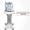 Microdermabrasion Korea Galvanisch gezicht Spa System Face Scrub RF Skinheffen Koeling Skin Zuurstof Spray Gun Anti Acne Beauty Salon Equipment