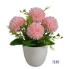 Decorative Flowers Simulation Onion Ball Bonsai Home Table Decoration Living Room Restaurant Bar Shooting Props Scene Layout