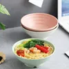 Kommen milieuvriendelijke tarwe strobf huishouden rijst salade onbreekbare kinderen bowl container servies voor thuiskeuken