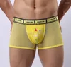 Underpants 3pcs/lot sexy 남자의 see-through soft mesh cartoon racoon pouch 속옷 편안한 비디오 테이프 스타일 벨트 권투 선수