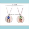 Pendentif Colliers Constellations Bleu Rose Symbole Zodiac Chaîne Collier 12 Twee Cristal Drop Livraison Bijoux Pendentifs Dhvph