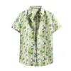 Camisetas para hombre Camisa hawaiana Cárdigan para hombre Manga de playa Cuello alto Ropa de calle Blusa Tops para primavera Otoño Vacaciones de negocios