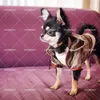 Собачья одежда модная одежда для домашних животных для маленькой одежды S-одежды французская вышивка бульдог