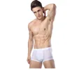 Mutande Chenke Boxer di marca da uomo trasparenti intimo sexy da uomo boxer pantaloncini stampa di bambù mutandine corte maschili boxer gay