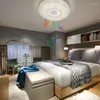 Ceiling Lights LED Light RGB Music Lamp Cool White Warm Dimmable For Living Room Kitchen Office Daylight