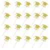 Fournitures de fête Autre fête 20pcs Graduation Thème Cupcake Toppers Dessert Gâteau Ornements