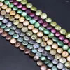 Chains Perle de bouton de couleur perle naturelle 12-13 mm artisanat pour bijoux fabrication de collier bricol