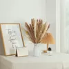 Flores decorativas 30 piezas Pampas Grass plantas de decoración secas naturales Boho para arreglos florales de boda de oficina en casa