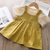 Kinderen meisjes kleding sets zomer korte mouw outfits kinderen mode prinses stoffen kleding suit dragen schattige kostuumjaren