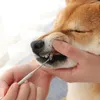 Vêtements pour chiens Dents pour animaux de compagnie Hygiène buccale Soins de santé Outil de nettoyage Détartreur et grattoir en acier inoxydable à double tête Dissolvant de tartre