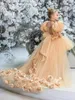 Mädchenkleider Champagner Tüll Blume für Hochzeit Blumen Wurf Kinder Kleinkind High Low Pageant Kleider Erstkommunion Kleid