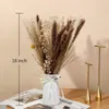 Flores decorativas 30 piezas Pampas Grass plantas de decoración secas naturales Boho para arreglos florales de boda de oficina en casa