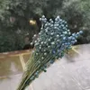 Decorative Flowers 2 Bouquet 20g/35cm Natural Dried Beads Eternal Real Plant For Wedding Party Home Decoration Accessories Arrange