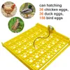 Small Animal Supplies Multifunction Egg Tray Eggs Incubator Turn Poultry Incubation Equipment Mini Brooder Spare Parts Accessory 230211