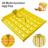 Small Animal Supplies Multifunction Egg Tray Eggs Incubator Turn Poultry Incubation Equipment Mini Brooder Spare Parts Accessory 230211