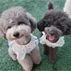 Colarinhos de cachorro CARRENTE PET RELENTE PET PARA COMOS PEQUENOS TEDDY BICHON BICHON INS CORREA CREATA CONJUNTO COM ACESSÓRIOS DE RAÇA DE ELAÇÃO