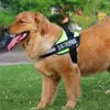 Dog Collarsナイロンパーソナライズされたハーネス反射性調整可能とリーシュセットスモールミディアムラージwithネームタグ