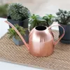 Watering Equipment Garden kan binnenshuis bloemen Kettel 500 ml roestvrijstalen pot draagbare plant lange spout sprinkler bonsai irrigatie fles