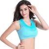 Completo da yoga Reggiseni sportivi da donna Mesh Layered False Two Pieces Sport Top Running Gym Fitness Reggiseno confortevole traspirante anti-sudore