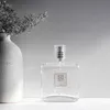Perfume feminino perfume masculino de nicho de vento frio unissex perfume masculino e feminino fragrância de longa duração da fragrância 100ml