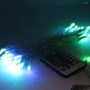 Strängar 100x10m jul 60 LED -strängljus färg byte USB semesterbelysning fjärrkontroll vattentät älva kransar utomhusdekor