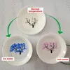 Tasses Soucoupes Magic Sakura Sake Cup Changement de Couleur Avec Froid/Eau-Voir Peach Cherry Flowers Bloom Magicly Blossom Tea Bowl EST
