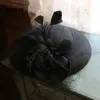 Nakrycia głowy Kobiety Kokat Wedding Kokap