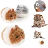 Chat jouets mode jouet morsure mignon peluche fourrure 1PC animal de compagnie petite souris de sport interactive drôle